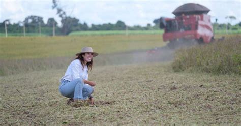 Mudan As Clim Ticas Impulsionam Empresas Na Cria O De Solu Es