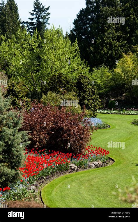 Spring Flower Garden for background Stock Photo - Alamy