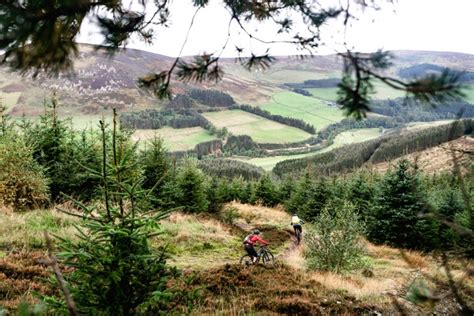 A Guide To Mountain Biking In The Tweed Valley Ridelines