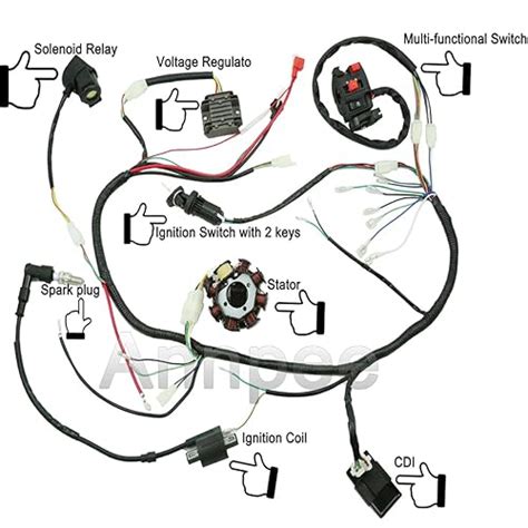 Kick Start Pit Bike Wiring Diagram Without Battery