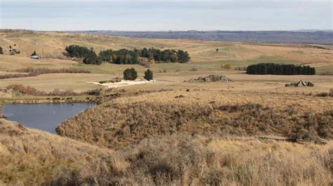 Discover The Hidden Gems Of Foulden Maar Unveiling A 23 Million Year