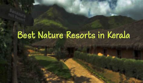 Best Nature Resorts in Kerala – My CMS