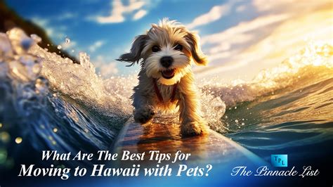 What Are The Best Tips For Moving To Hawaii With Pets The Pinnacle List