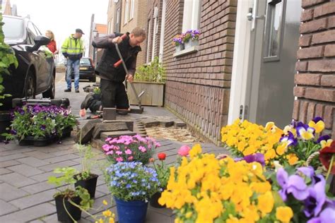 Tegel Eruit Plant Erin Dorpsbelangarum