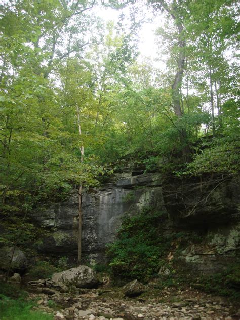 sweetness can sting: Carter Caves State Park