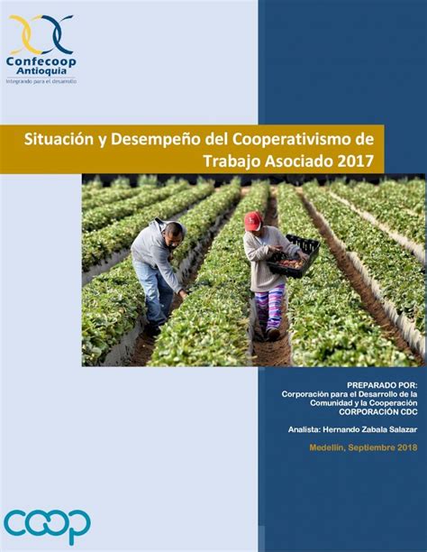 PDF Situación y Desempeño del Cooperativismo de Trabajo