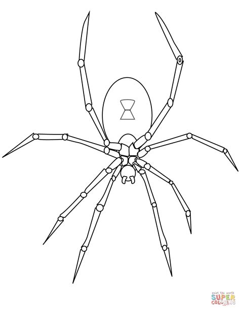 37 Spinnennetz Mit Spinne Malvorlage Besten Bilder Von Ausmalbilder