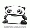 Panda Rolling GIF - Panda Rolling Spin - Discover & Share GIFs