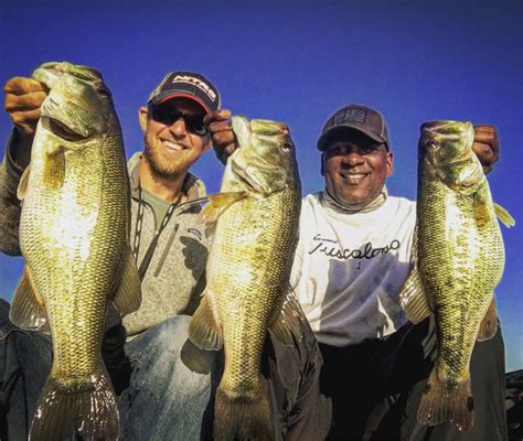 Spring Fishing How To Fish Lake Guntersville In February Alabama