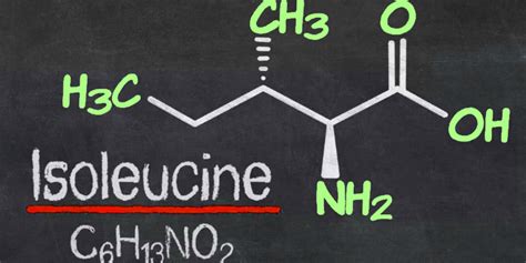 Аминокислота изолейцин
