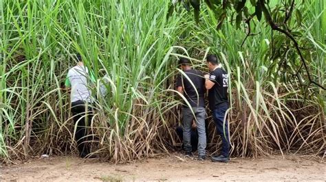 Homem Encontrado Morto Les Es Na Cabe A Em Canavial De Passos Mg