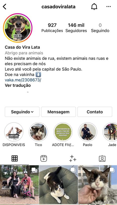 Todo dia cãezinhos projetoMila on Twitter RT casadoviralata Éramos