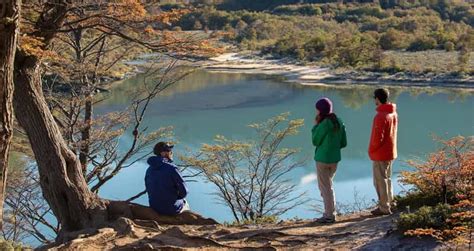 Tierra Del Fuego National Park Small Group Tour With Lunch