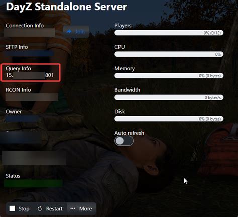 How To Connect To Your DayZ Server Knowledgebase Ascend Servers