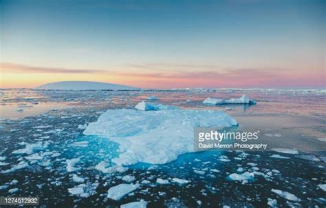 Antarctica Melting Photos and Premium High Res Pictures - Getty Images