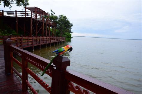 Maricá tem novo ponto turístico o Deck Pôr do Sol Diário do Rio de