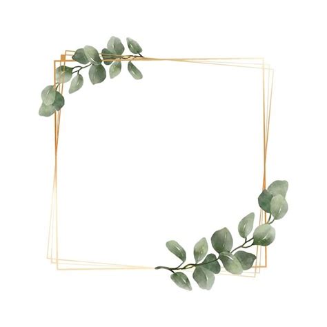 Verdure Eucalyptus Feuilles Aquarelle Avec Cadre Dor De Luxe