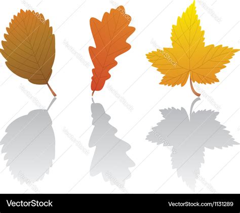 Fall leaves Royalty Free Vector Image - VectorStock