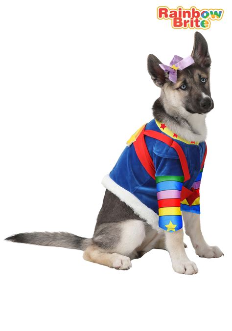 Pet Rainbow Brite Dog Costume | Halloween Pet Costumes