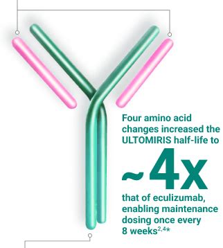 ULTOMIRIS Molecule ULTOMIRIS Ravulizumab Cwvz NMOSD