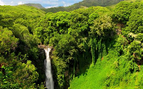 Breathtaking Waterfalls of Hawaii | Only In Hawaii