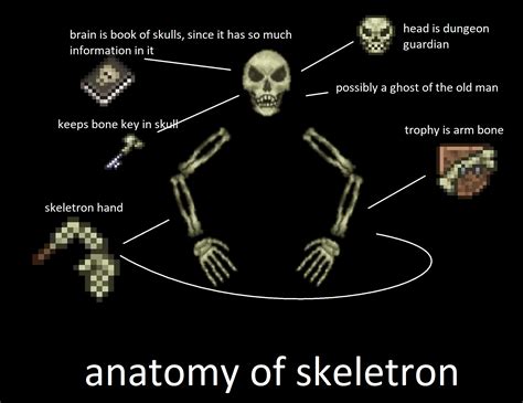 444 Best Skeletron Images On Pholder Terraria Terraria Memes And