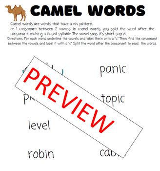 Rabbit Tiger And Camel Word Practice Two Syllable Words Vccv Vcv