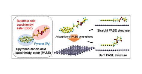 Theoretical Analysis On The Stability Of Pyrenebutanoic Acid