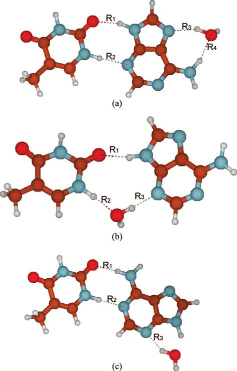 H Bond Structures Of Monohydrated Adenine Thymine Base Pairs A