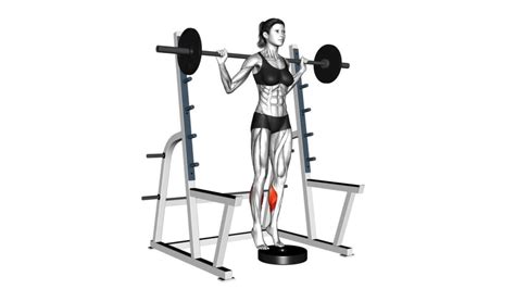 Female Barbell Standing Calf Raise Video Guide And Tips