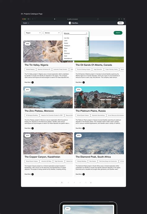 Geoflex — Website Design :: Behance