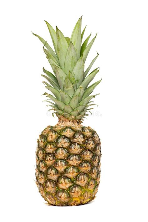 Pineapple Isolated One Whole Pineapple With Green Leaves Isolated On White Background Single