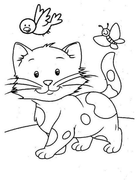 Gato Con Mariposa Para Colorear Imprimir E Dibujar Coloringonly Com ...