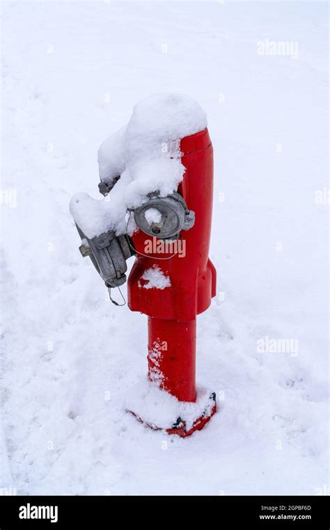 Red Fire Hydrant In The Snow Stock Photo Alamy