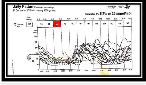 Freestyle Libre Glucose Monitoring System Readings December 24