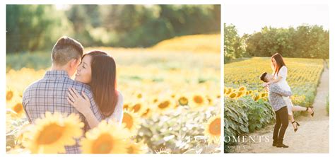 Manley And Lorie Toronto Whimsical Sunflower Field Engagement Ec3