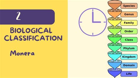 Class 11 Biology Chapter 2 Biological Classification Monera Youtube