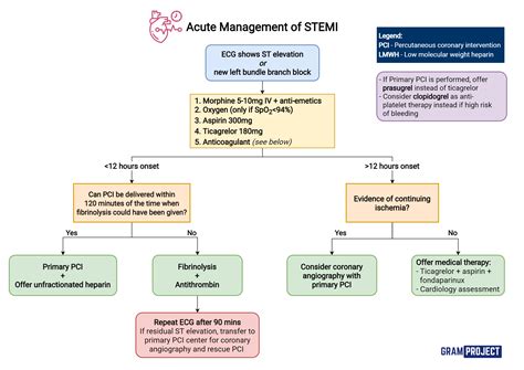 Stemi Chart