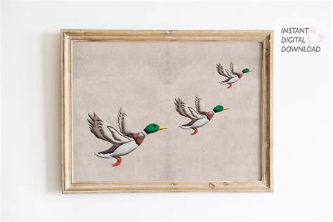 1950s 3 Flying Ducks Wall Art Three Flying Ducks Vintage Printable