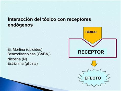 Toxicocin Tica Y Toxicodinamia Ppt