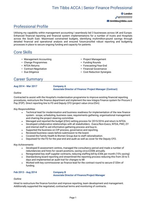 6 Executive Cv Examples 2024 Cv Templates And Guide