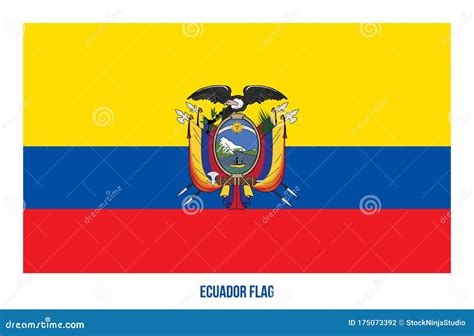 Ilustração Do Vetor De Bandeira Do Equador Sobre Fundo Branco Bandeira