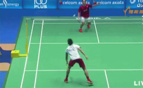 Badminton GIF - Badminton - Discover & Share GIFs