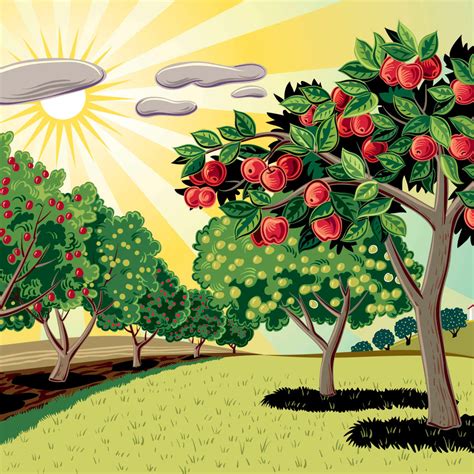 Apple Orchard Wall Art | Digital Art