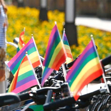 Whaline 60 Pack Rainbow Stick Flags Gay Pride Small Mini Flags Transgender Asexual Bisexual