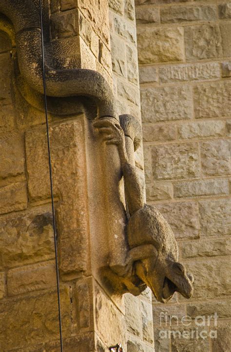 Sagrada Frog Gargoyle Photograph By Deborah Smolinske Fine Art America