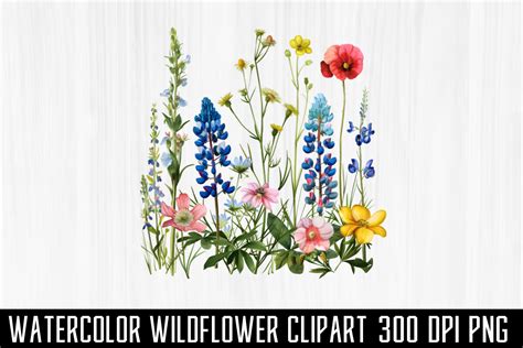 Watercolor Wildflower Clipart Graphic By Mockupshouse · Creative Fabrica