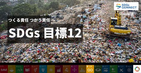 《sdgs基礎》目標12「つくる責任 つかう責任」を徹底解説 Sdgs Connect