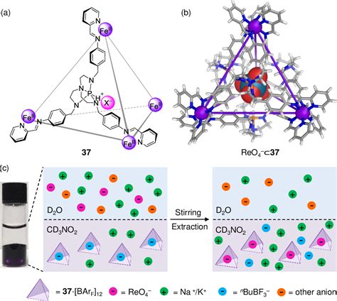 Figure 16 From Functional Capsules Via Subcomponent Self Assembly Semantic Scholar