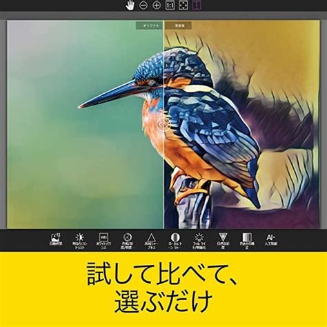 Corel Paintshop Pro 2023【ダウンロード版】永続ライセンス Windows対応 日本語 コーレル ペイントショップ